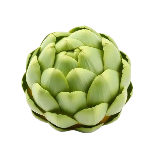 Alcachofa fresca